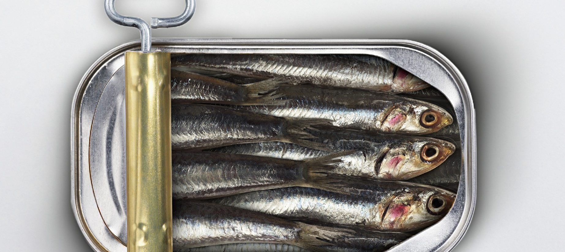 Sardines &agrave; l&rsquo;huile