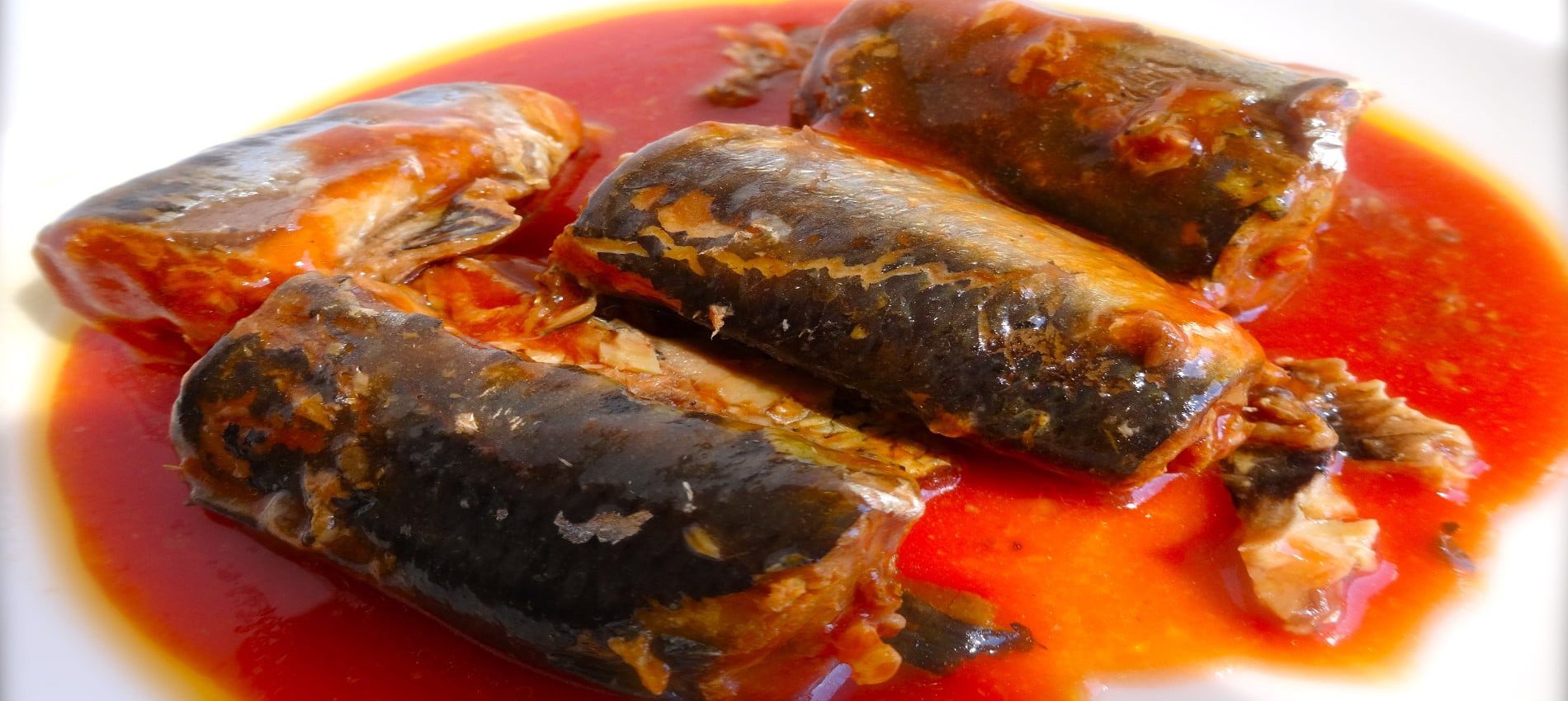 Sardine Conserve des sardines à l’huile