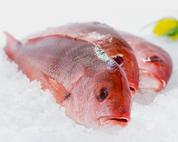 Red snappers bij de kraam