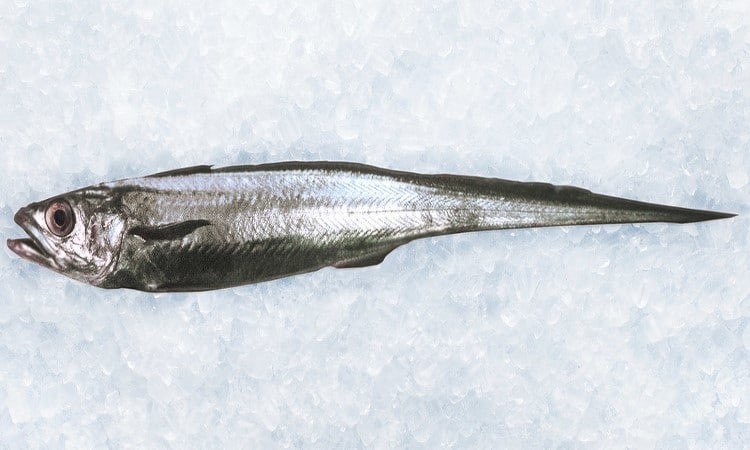 Hoki
