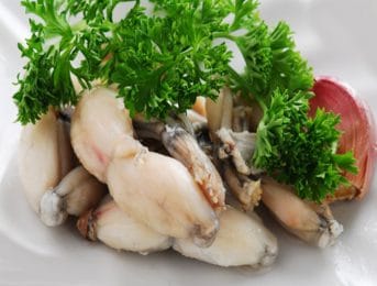 Cuisses de grenouilles