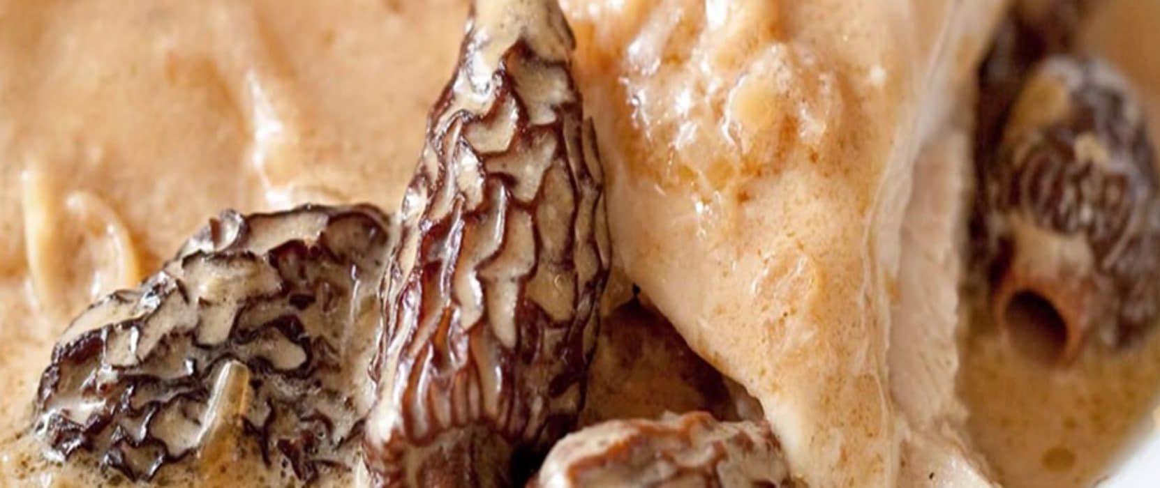 Poularde aux morilles