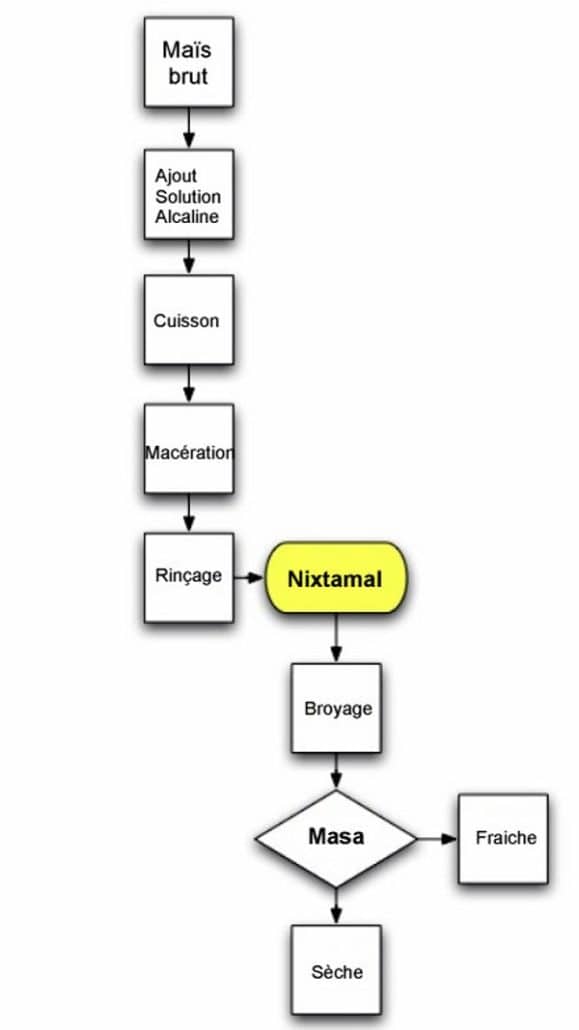 Processus de fabrication du masa mexicain