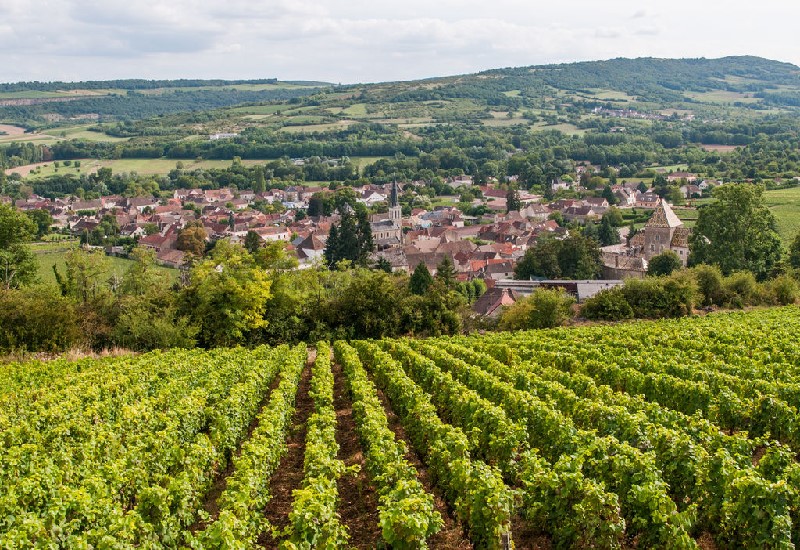 Vignoble de Bourgogne Vignoble de Bourgogne