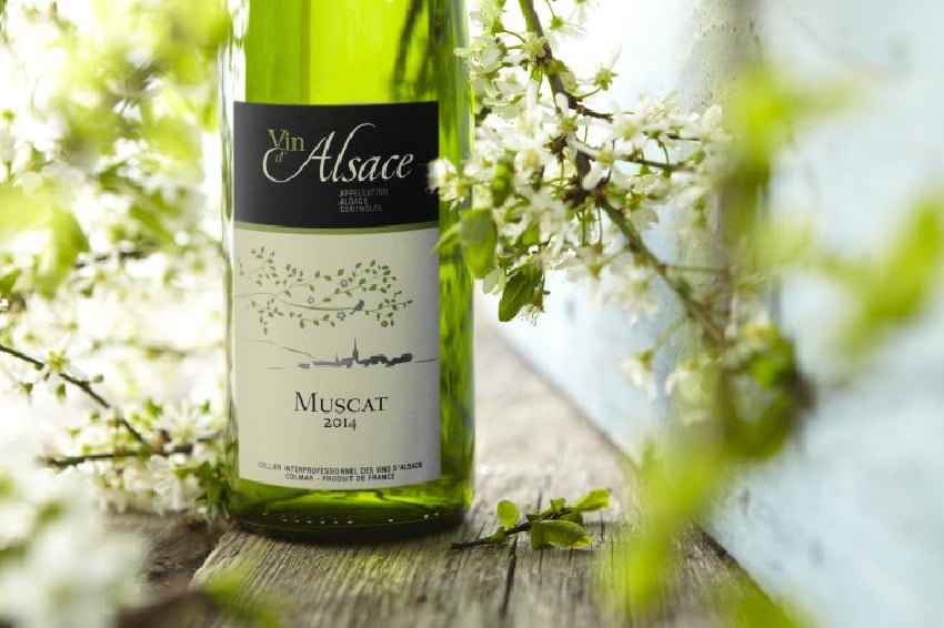 Muscat d’Alsace