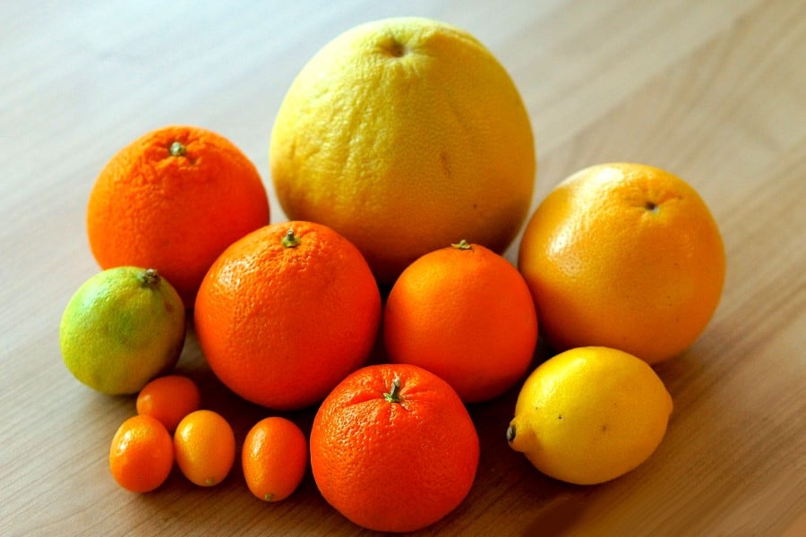 Citrus