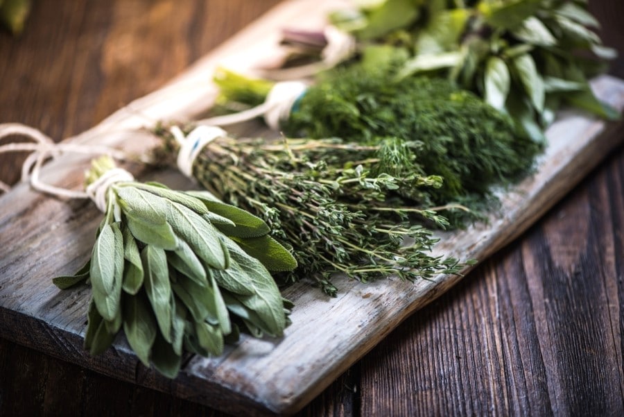 Aromatische kruiden Aromatische kruiden