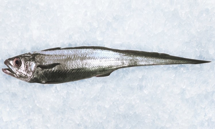 Hoki Hoki