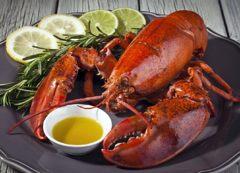 Homard (crustacé)