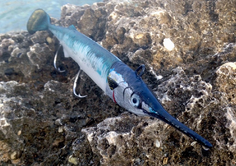 Ikan Garfish