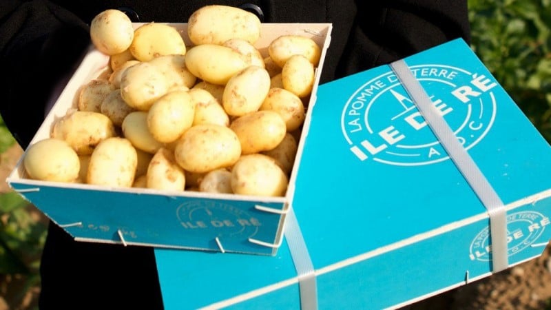 Potatoes from Ile de Ré