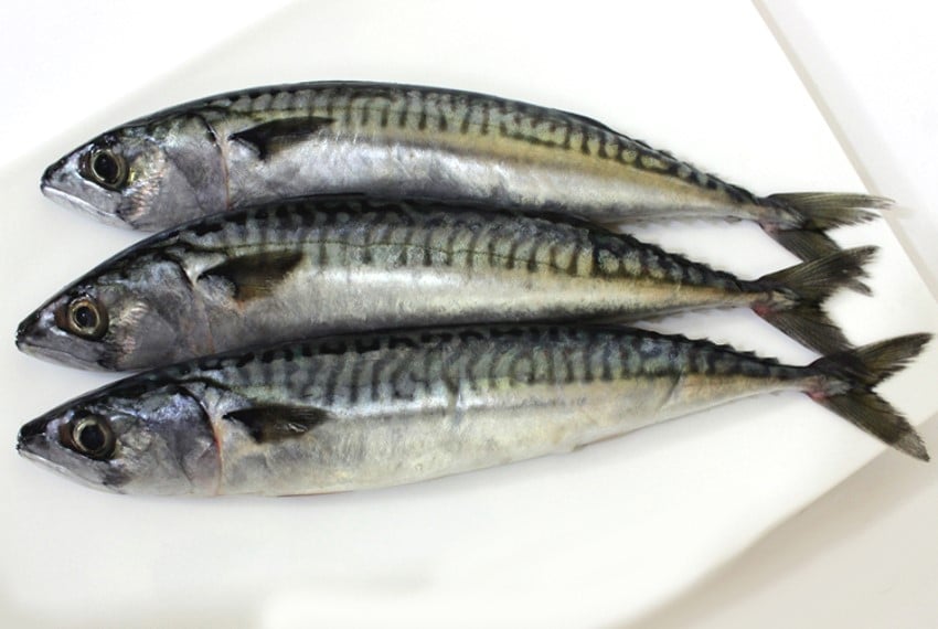Lisette (fish)
