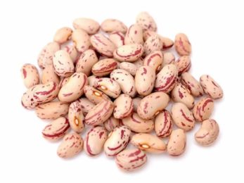Haricots marbré borlotti