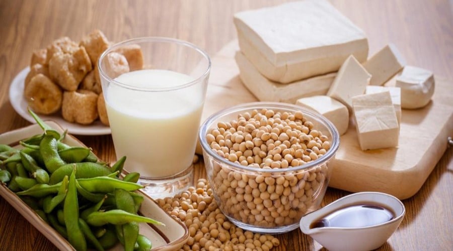 Soy pods, seeds and milk, tofu and soy milk donuts