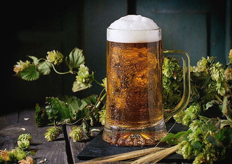 Bière blonde et cônes de houblon Bière blonde et cônes de houblon