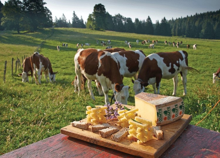 Prairie en Franche-Comté