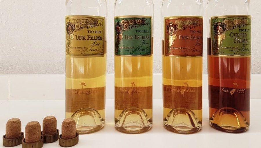 Bottles of fino wines from barrels whose qualities are marked by their palms Bottles of fino wines from barrels whose qualities are marked by their palms
