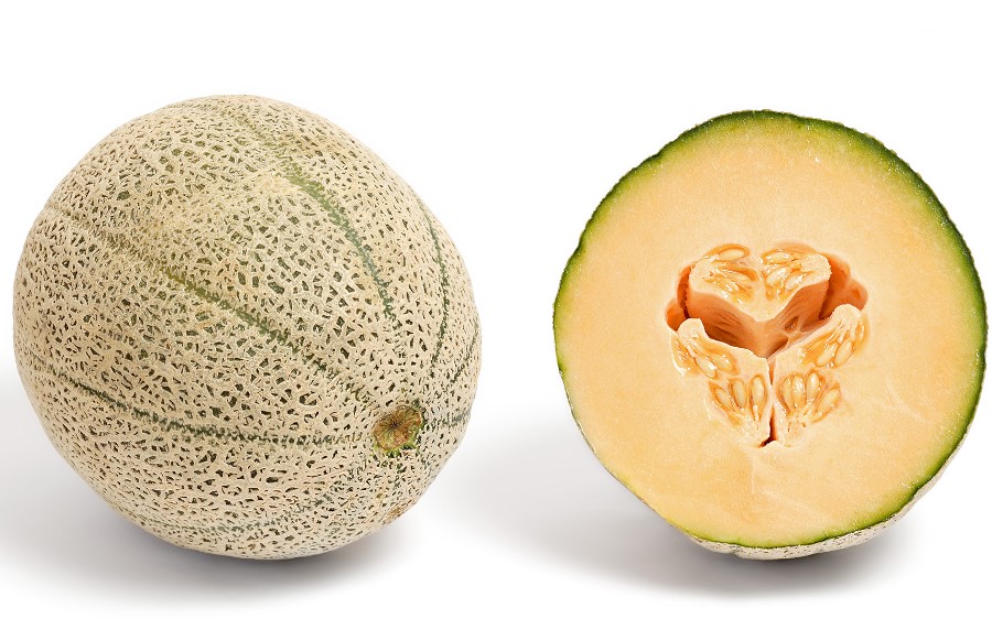 Yubari Raja Melon