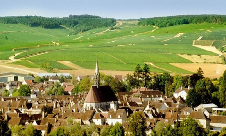Village et vignoble de Chablis