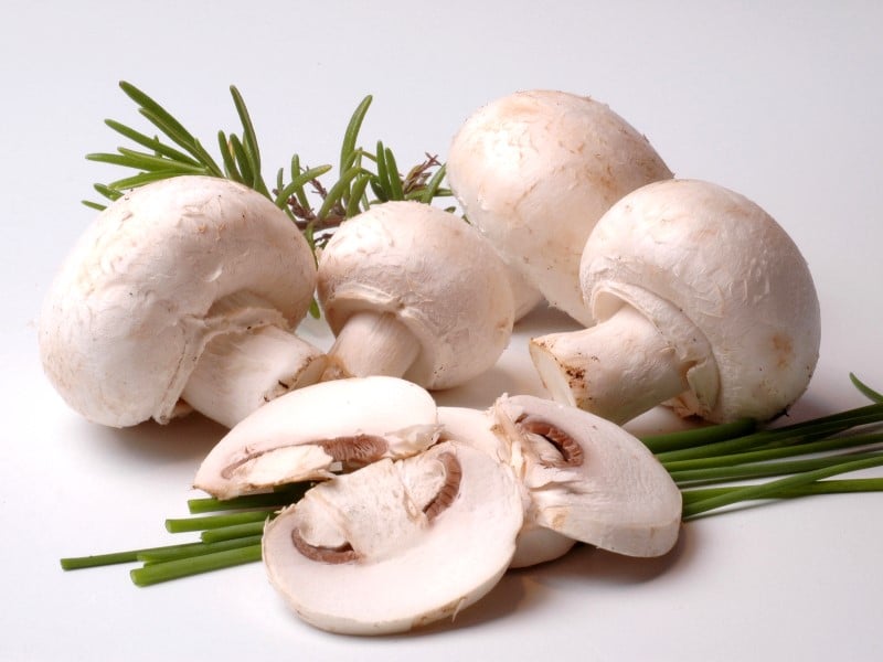 Champignon de Paris