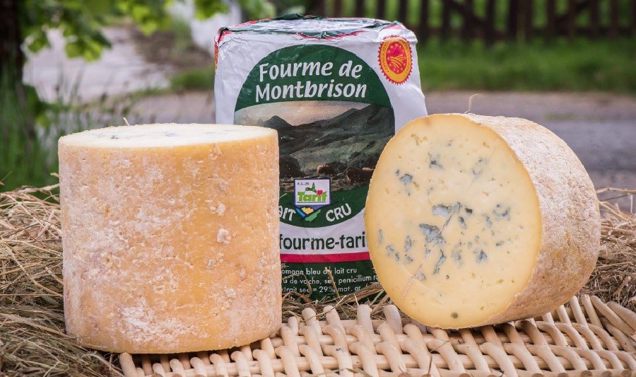 Fourme de Montbrison