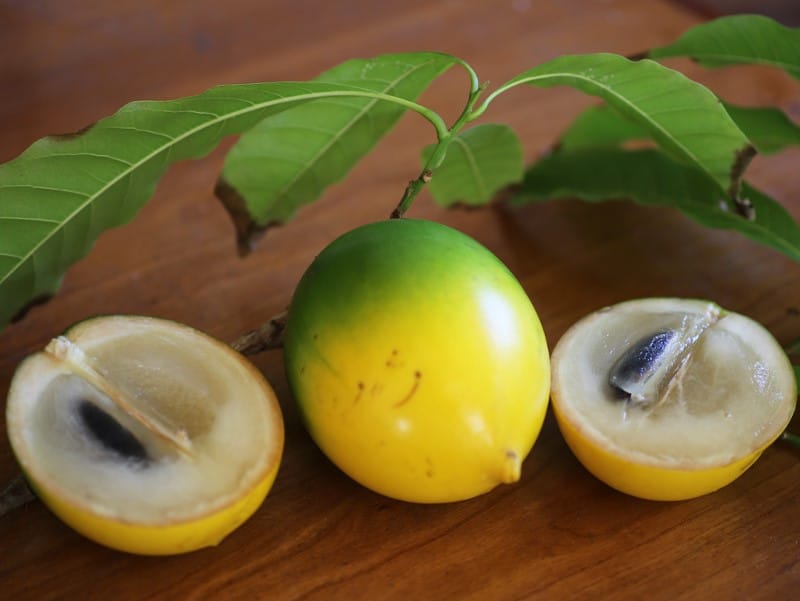 L&ugrave;cuma