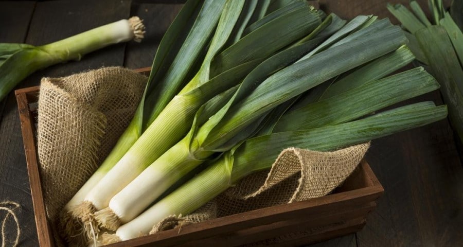 leeks