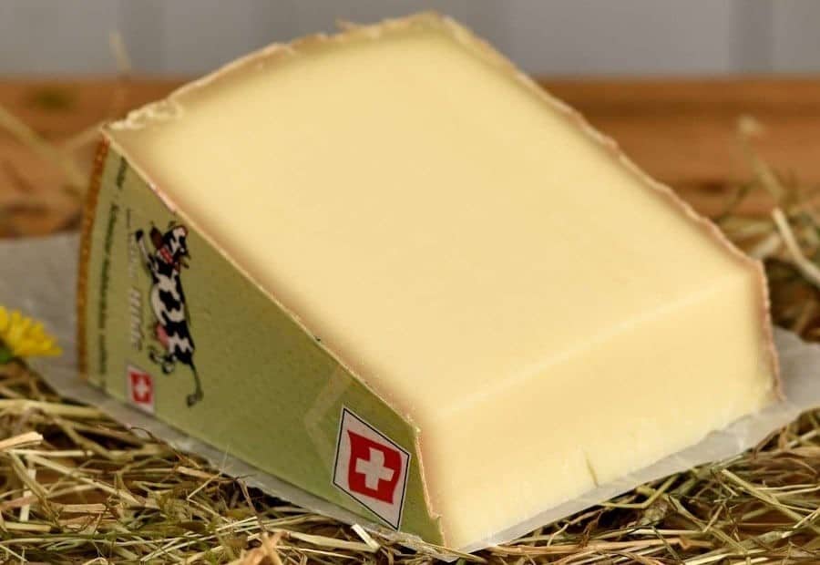 Swiss Gruyere