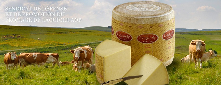 Pâturage de l’Aubrac et fromage de Laquiole Pâturage de l’Aubrac et fromage de Laquiole