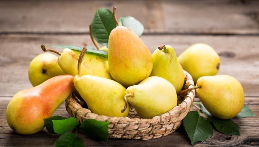 Poire Caractéristiques des principales variétés de