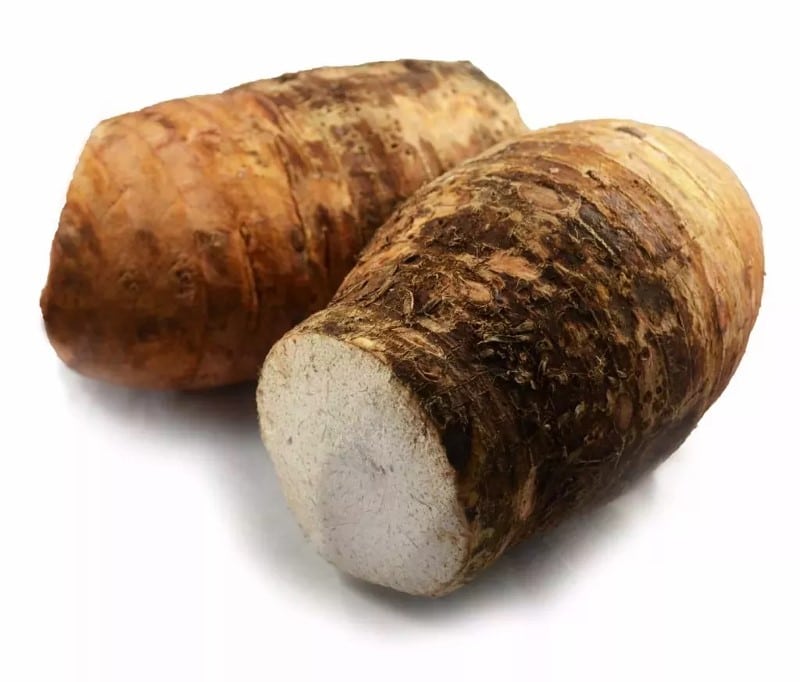 Tubercules de malanga