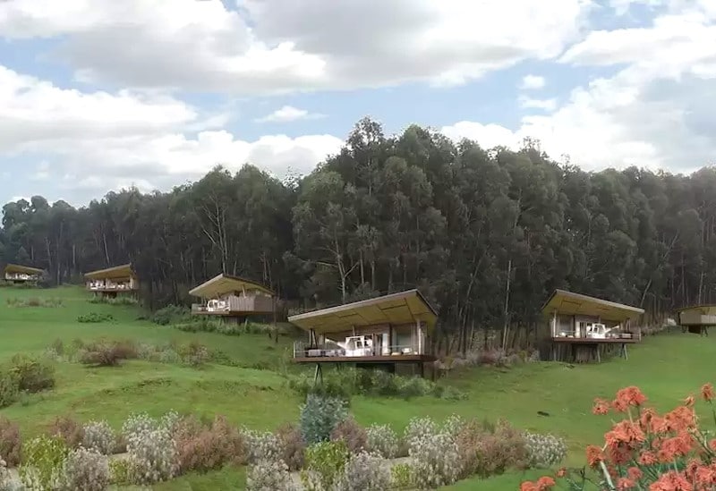 One & Only Gorilla's Nest Rwanda