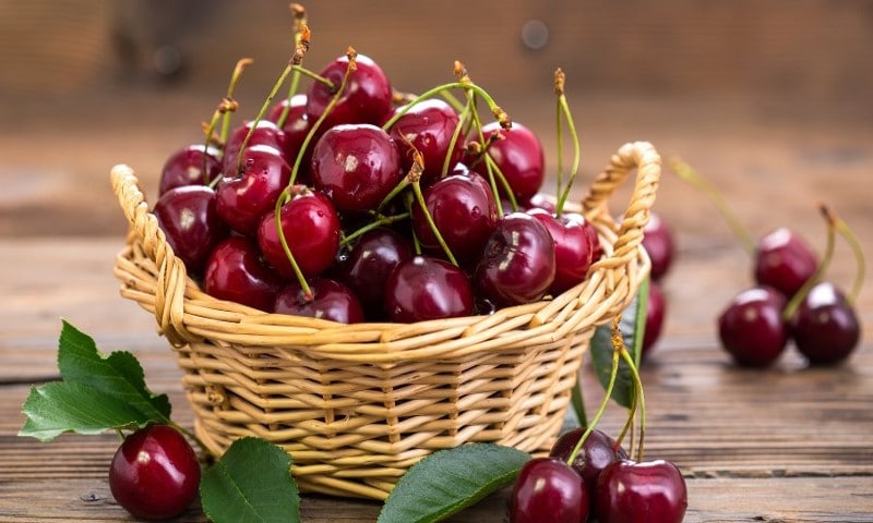 Panier de cerises