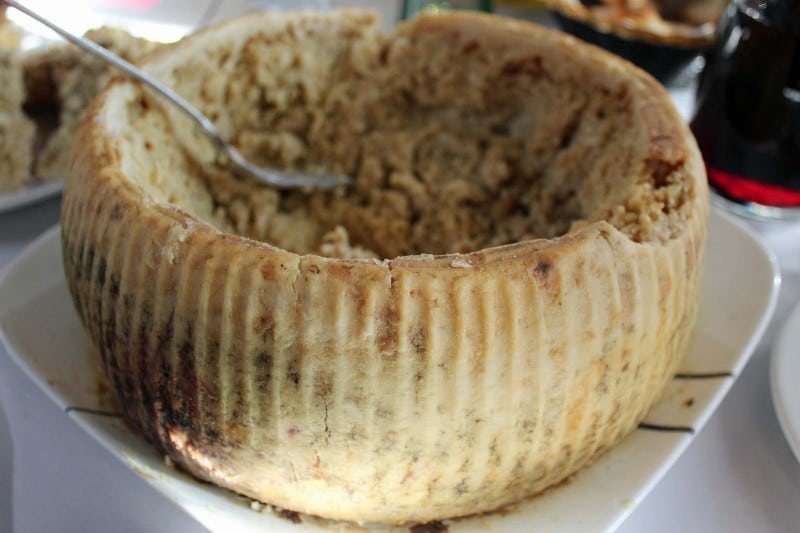 casu marzu fromage sarde
