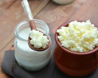 Grains de kéfir