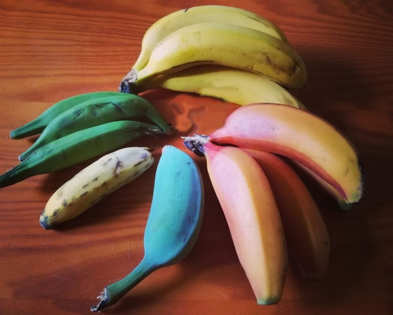 Les différentes couleurs de bananes Les différentes couleurs de bananes