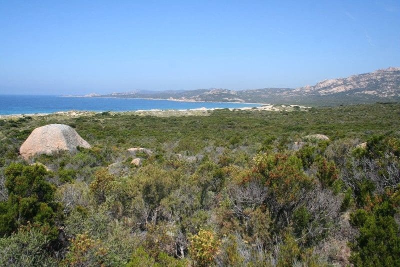 maquis Korsika