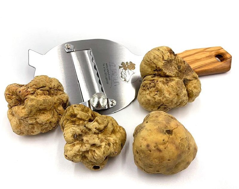 Truffe Tuber magnatum pico Truffe Tuber magnatum pico
