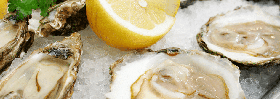 Oysters