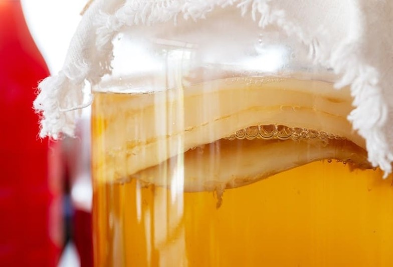 Kombucha