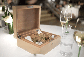 Truffes blanches d’Alba en coffret