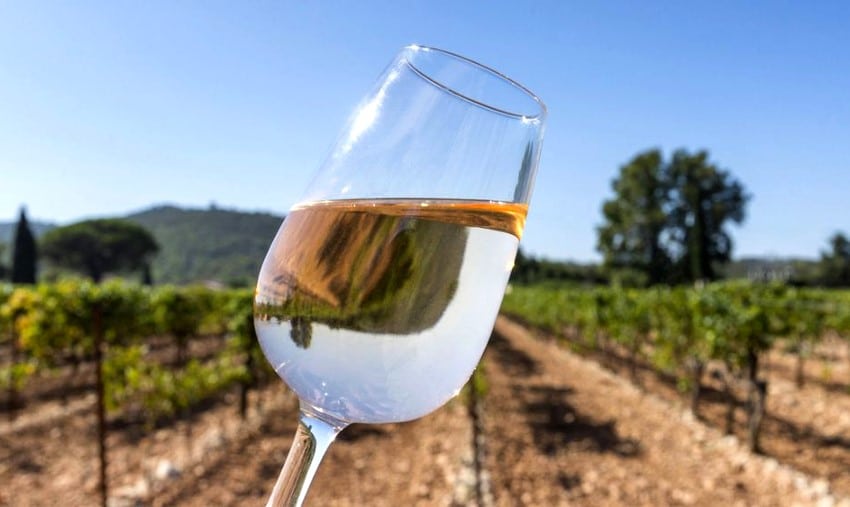 Glas droge witte wijn