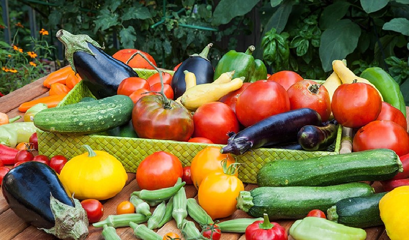 Légumes crétois (kritiká lachaniká)
