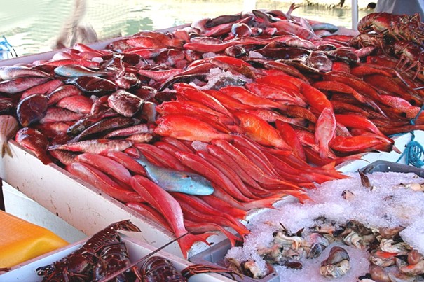 Peixes e frutos do mar em uma banca de mercado em Pointe-à Pitre