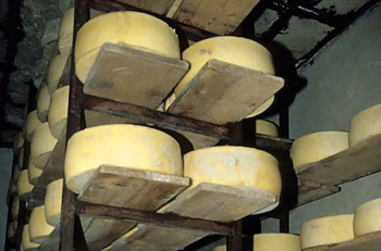 Affinage des fromages gravièra