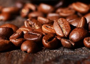 Grains de café arabica
