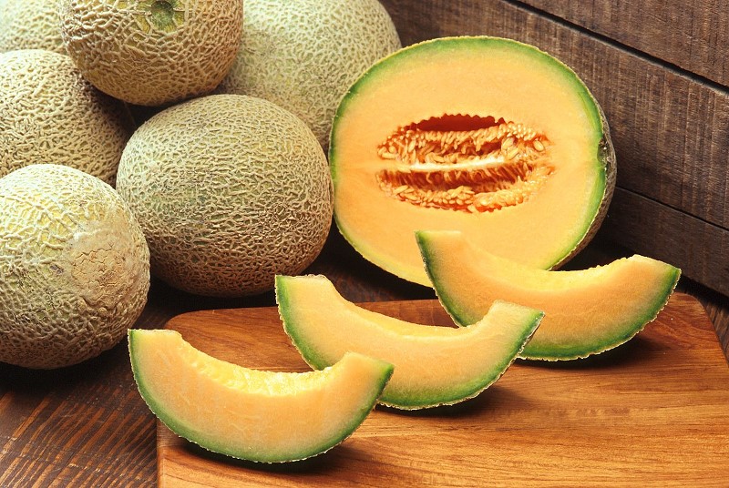 Cantaloupe melon