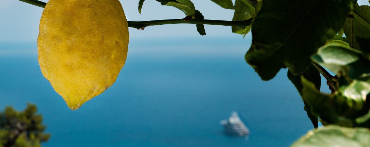 Citron de Menton Citron de Menton