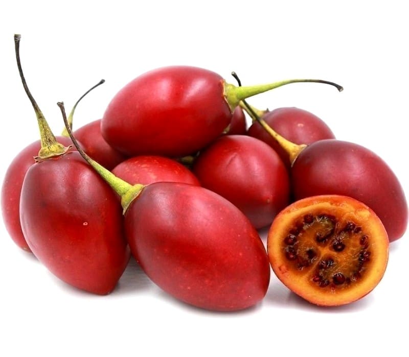 Tomate en arbre Cyphomandra betacea