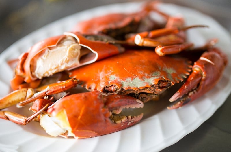 Chair de crabe